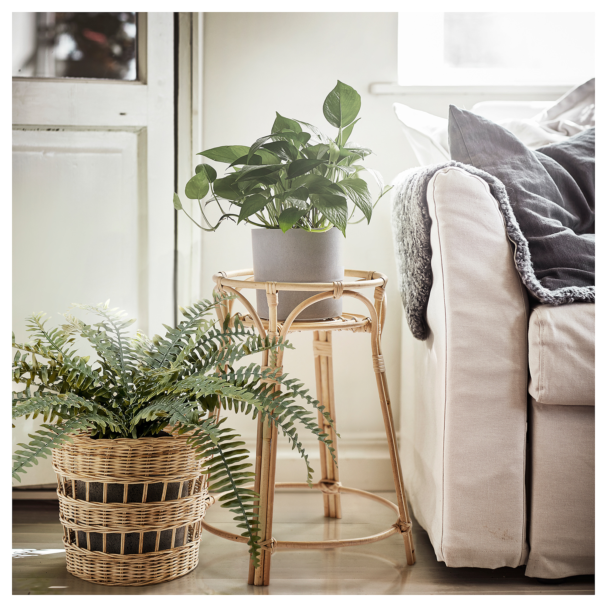 TOLKNING plant stand