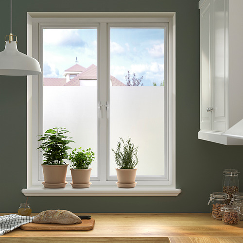 PUCKELFLY window film