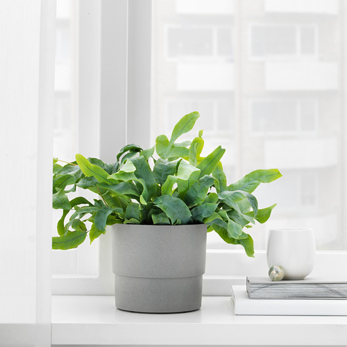 NYPON plant pot