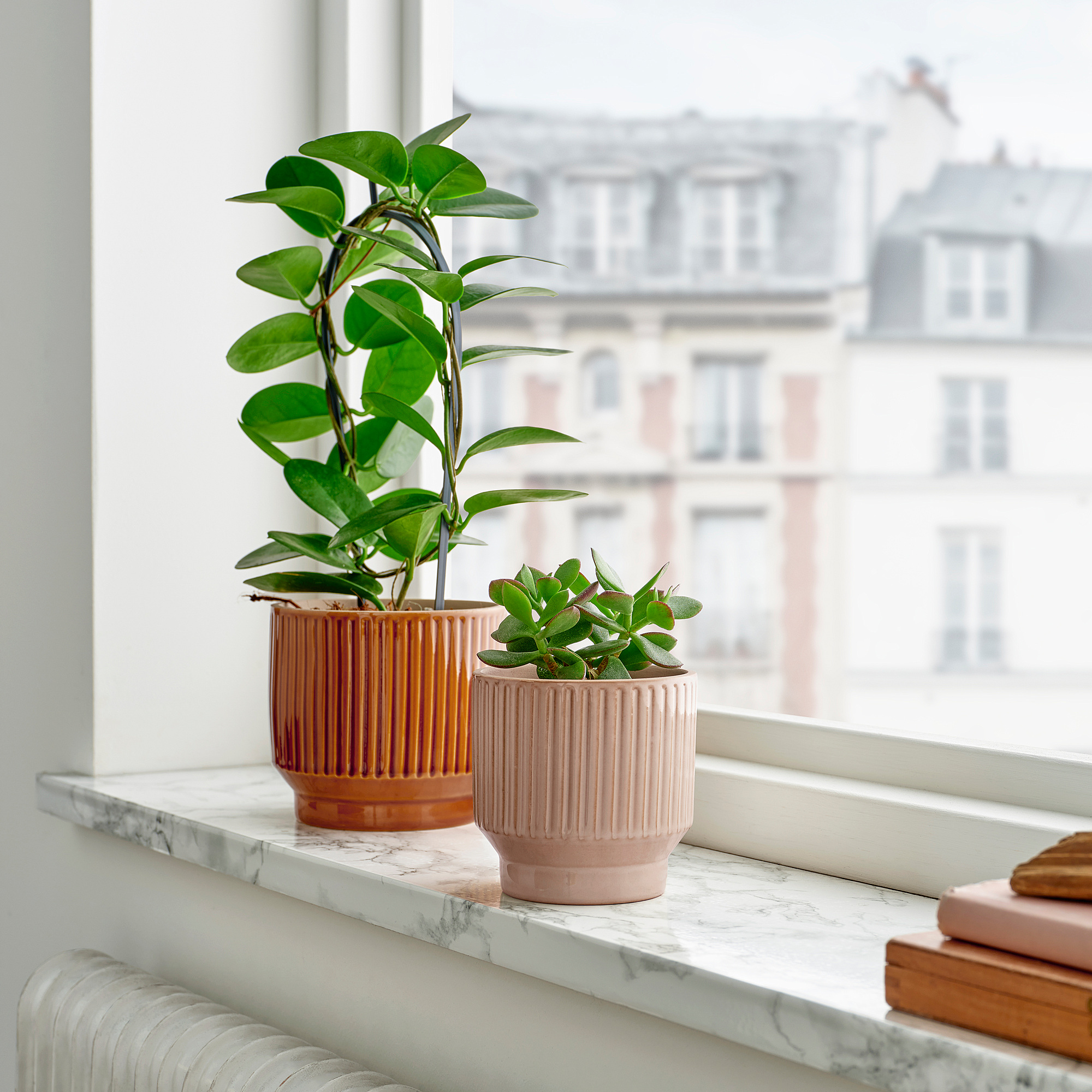 HONUNGSPALM plant pot