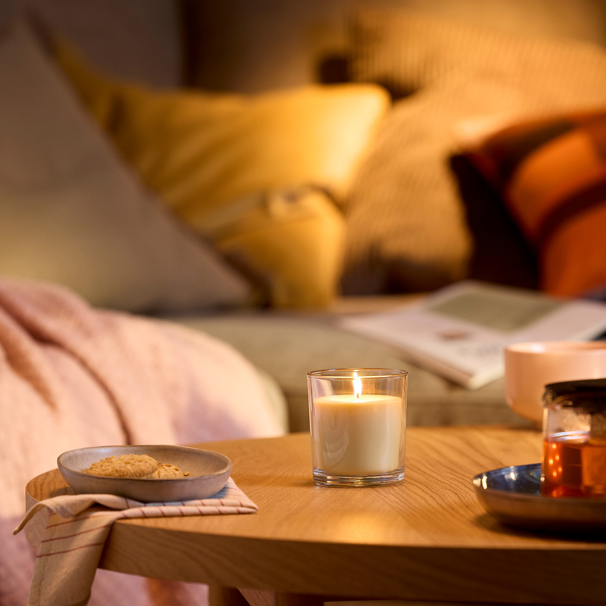 LOTSFÅGEL scented candle in glass