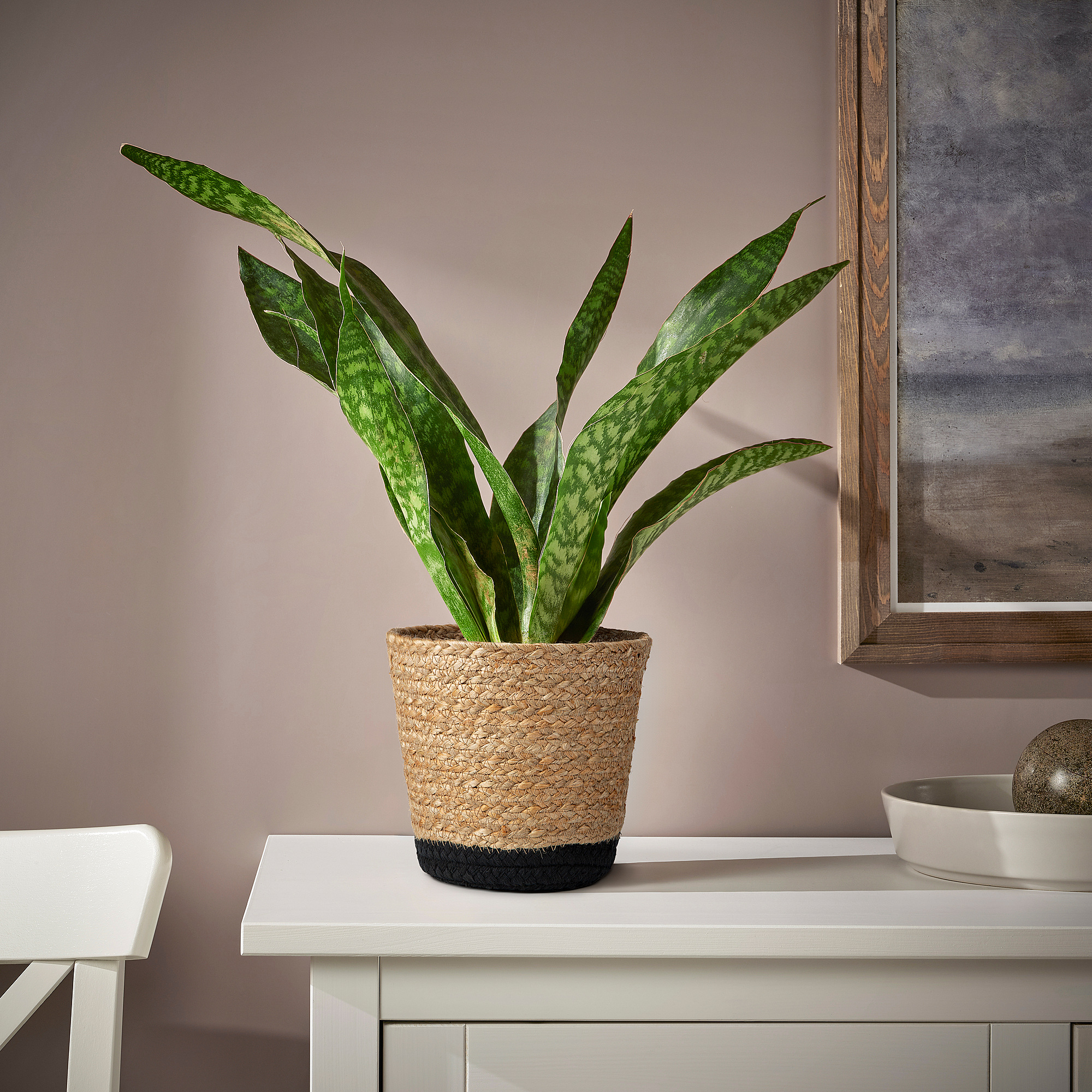TÄRNMÅS plant pot