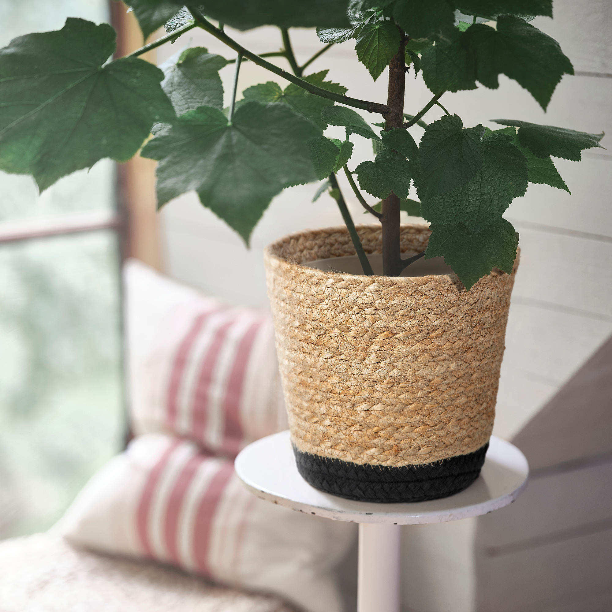 TÄRNMÅS plant pot