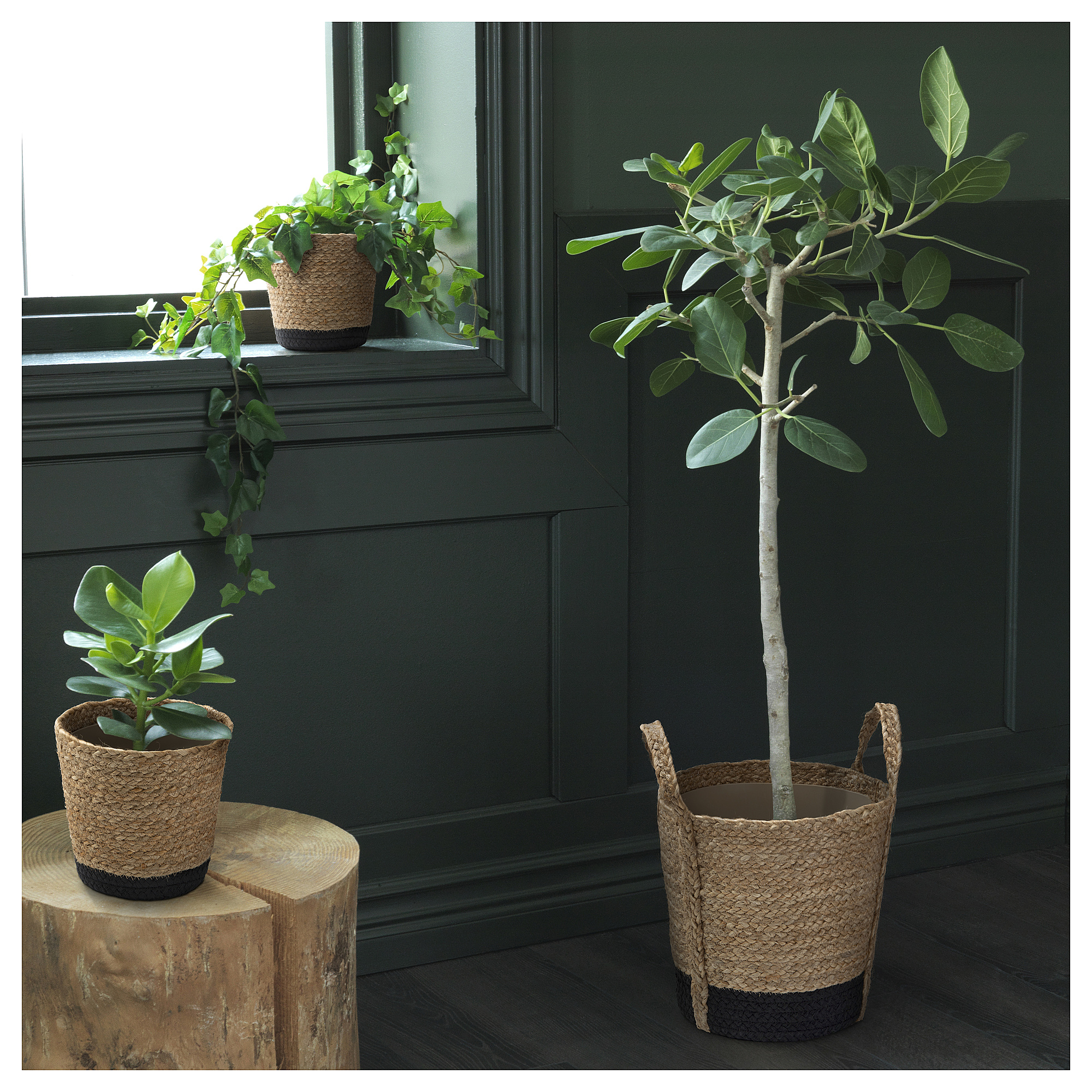 TÄRNMÅS plant pot