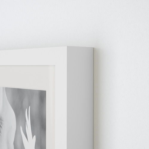 RIBBA frame