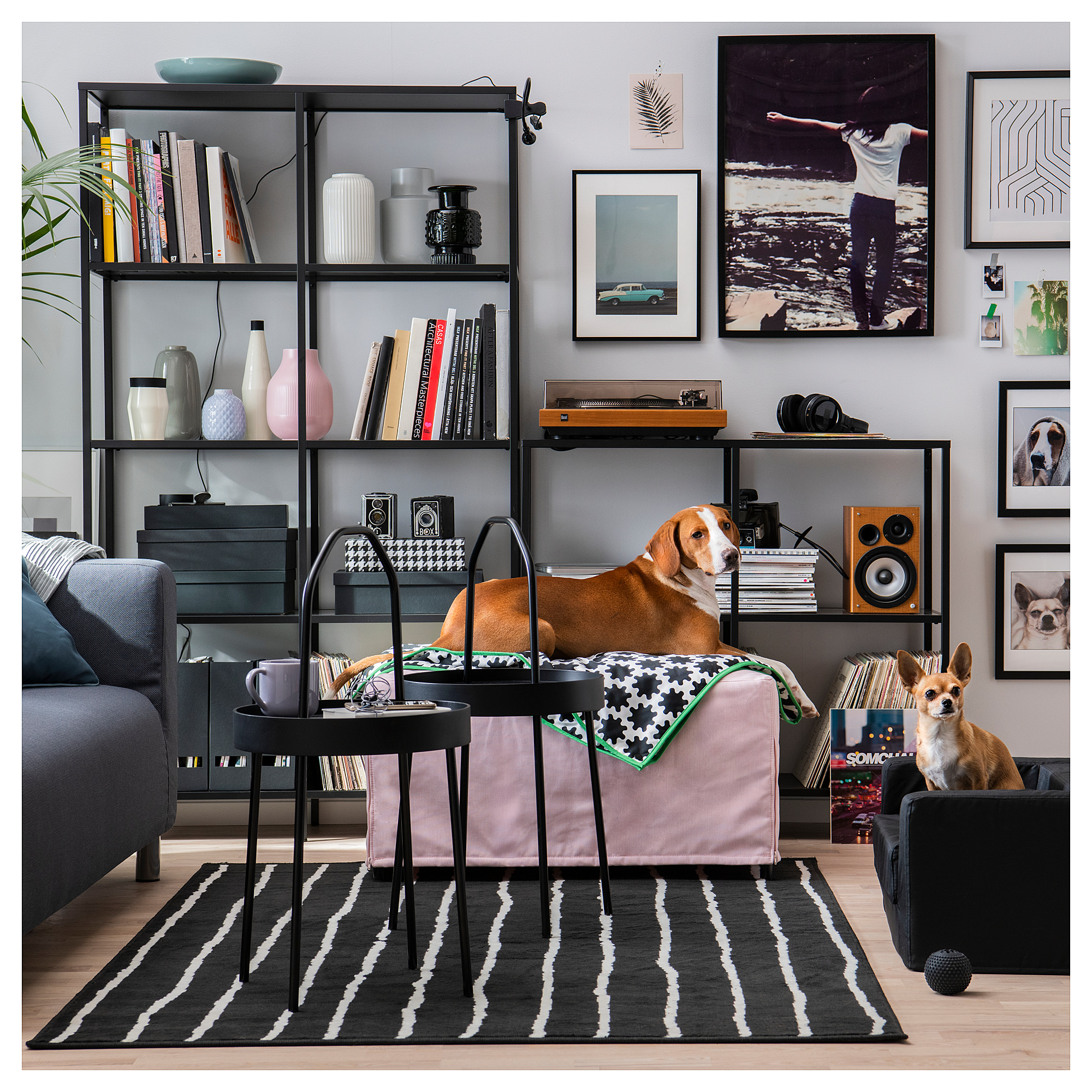 2 dog bed