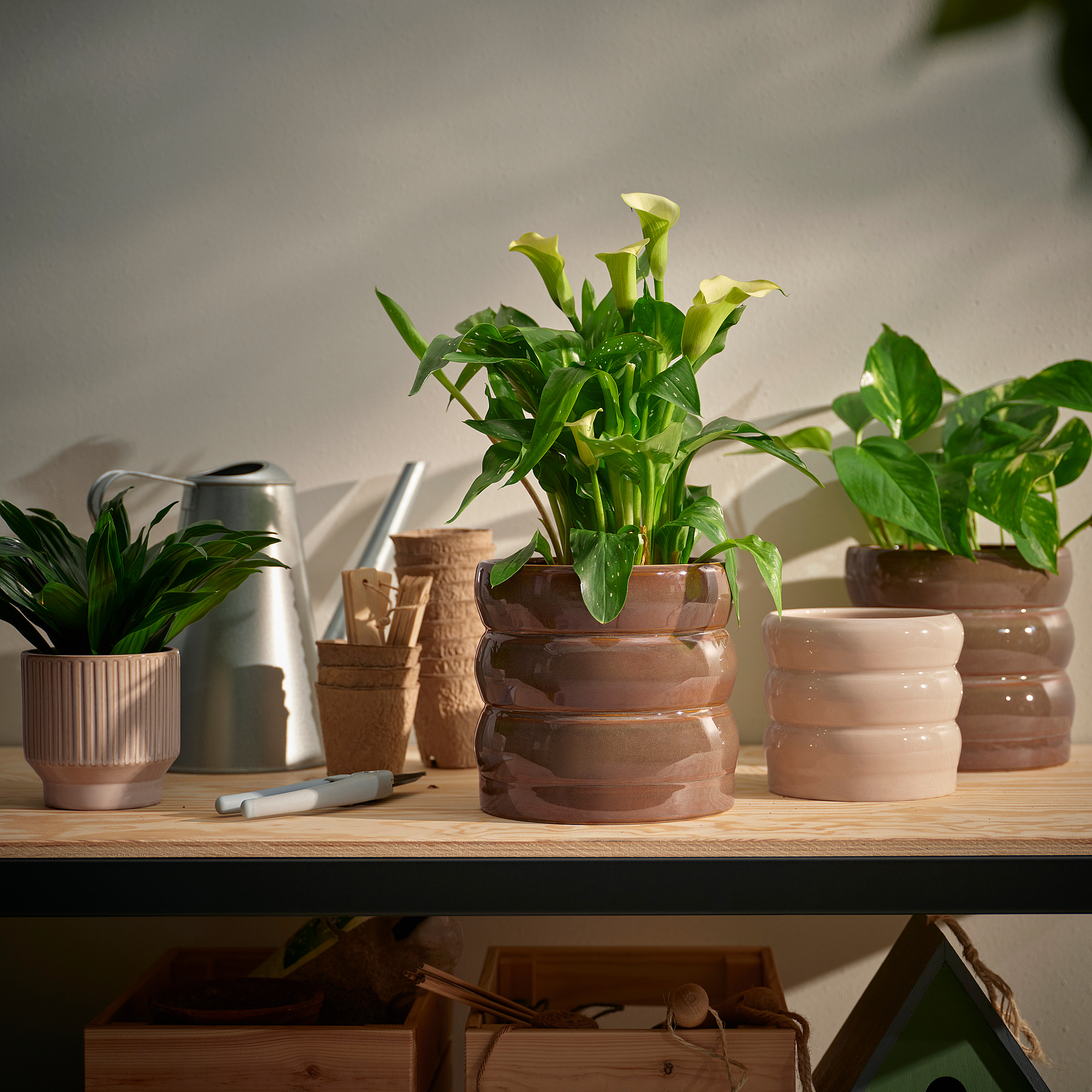 HASSELBUKETT plant pot