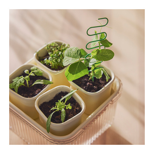 DOFTRIPS growing set