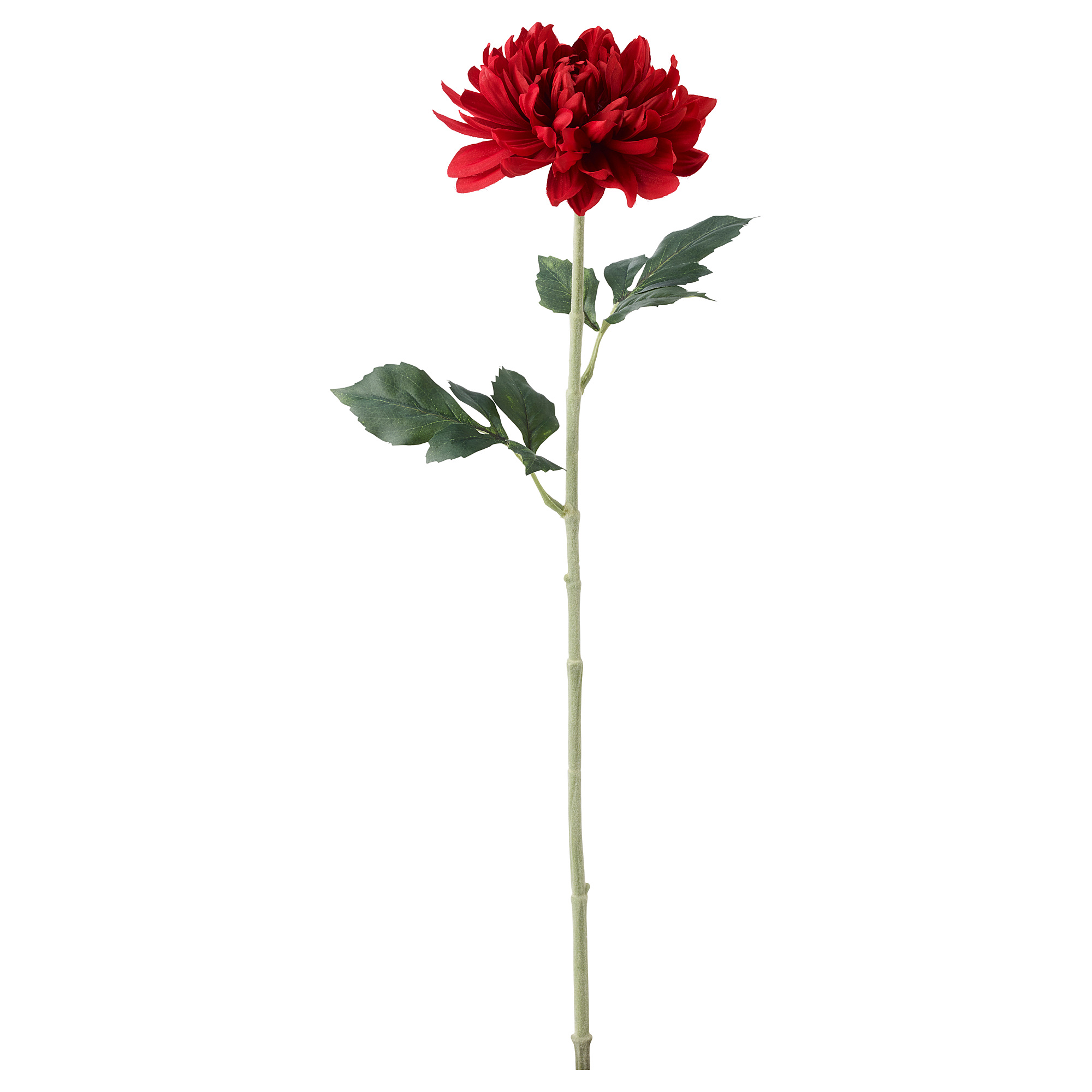 Smycka Artificial Flower Dahlia Red Ikea Hong Kong And Macau Smycka Artificial Flower Dahlia Red Ikea Hong Kong And Macau