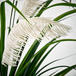 FEJKA artificial potted plant
