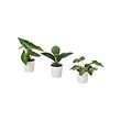 FEJKA artificial potted plant, set of 3