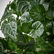 FEJKA artificial plant, set of 3