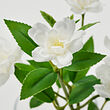 SMYCKA 人造花