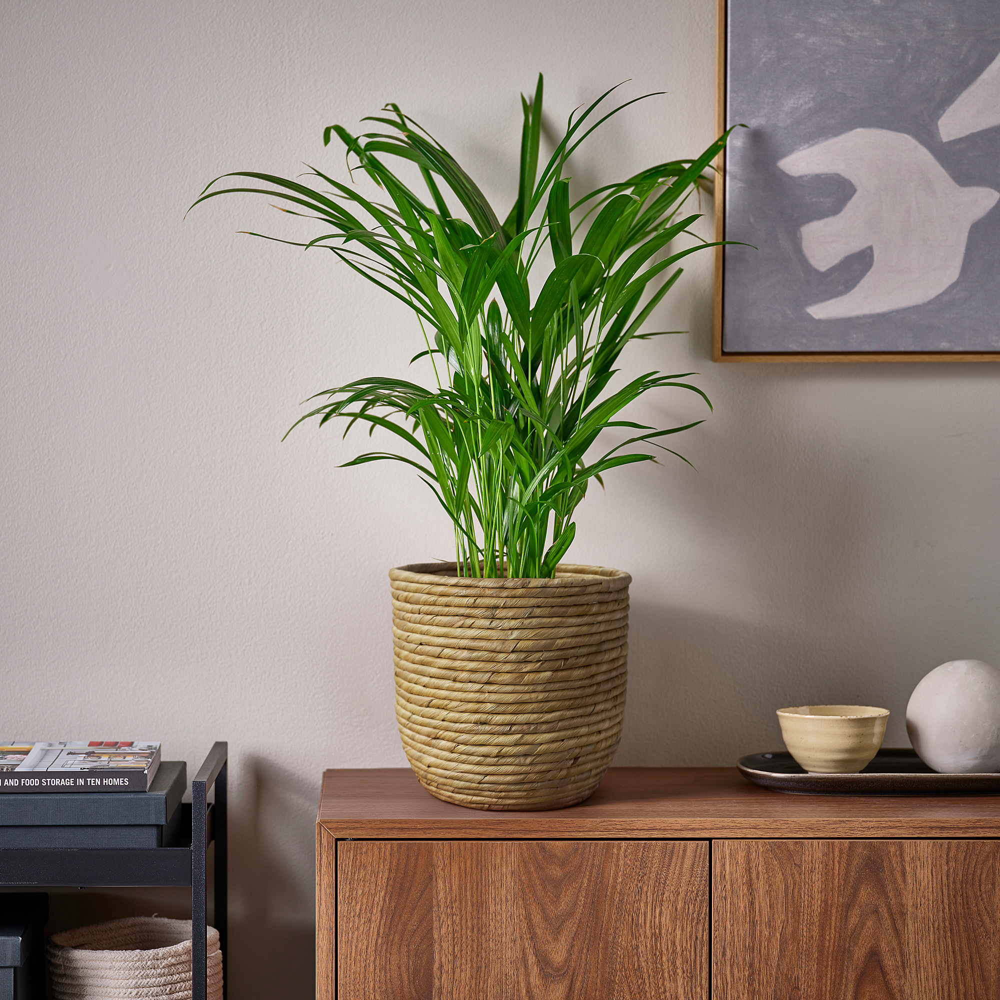 SANDÖDLA plant pot