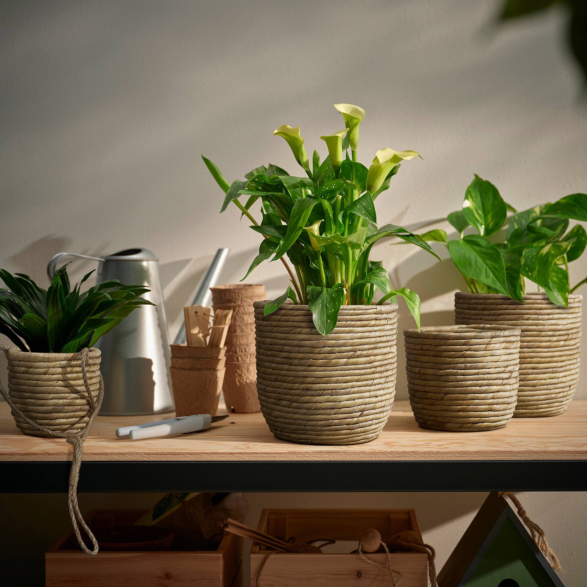 SANDÖDLA plant pot
