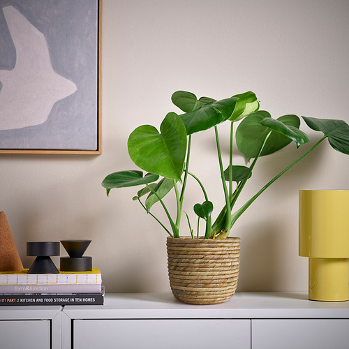 SANDÖDLA plant pot