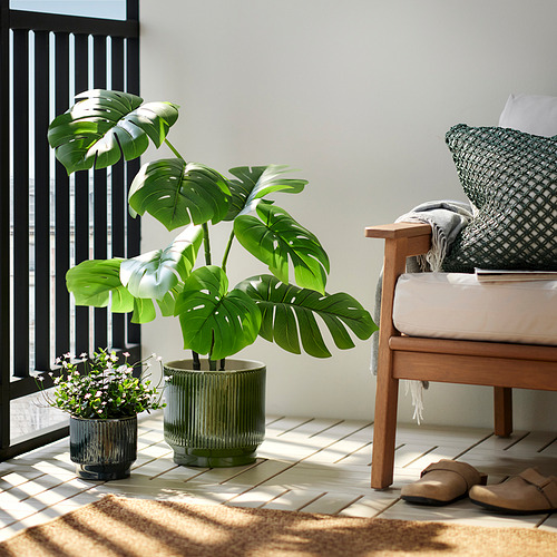 HONUNGSPALM 花盆