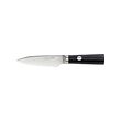 FJÄLLRÖDING paring knife