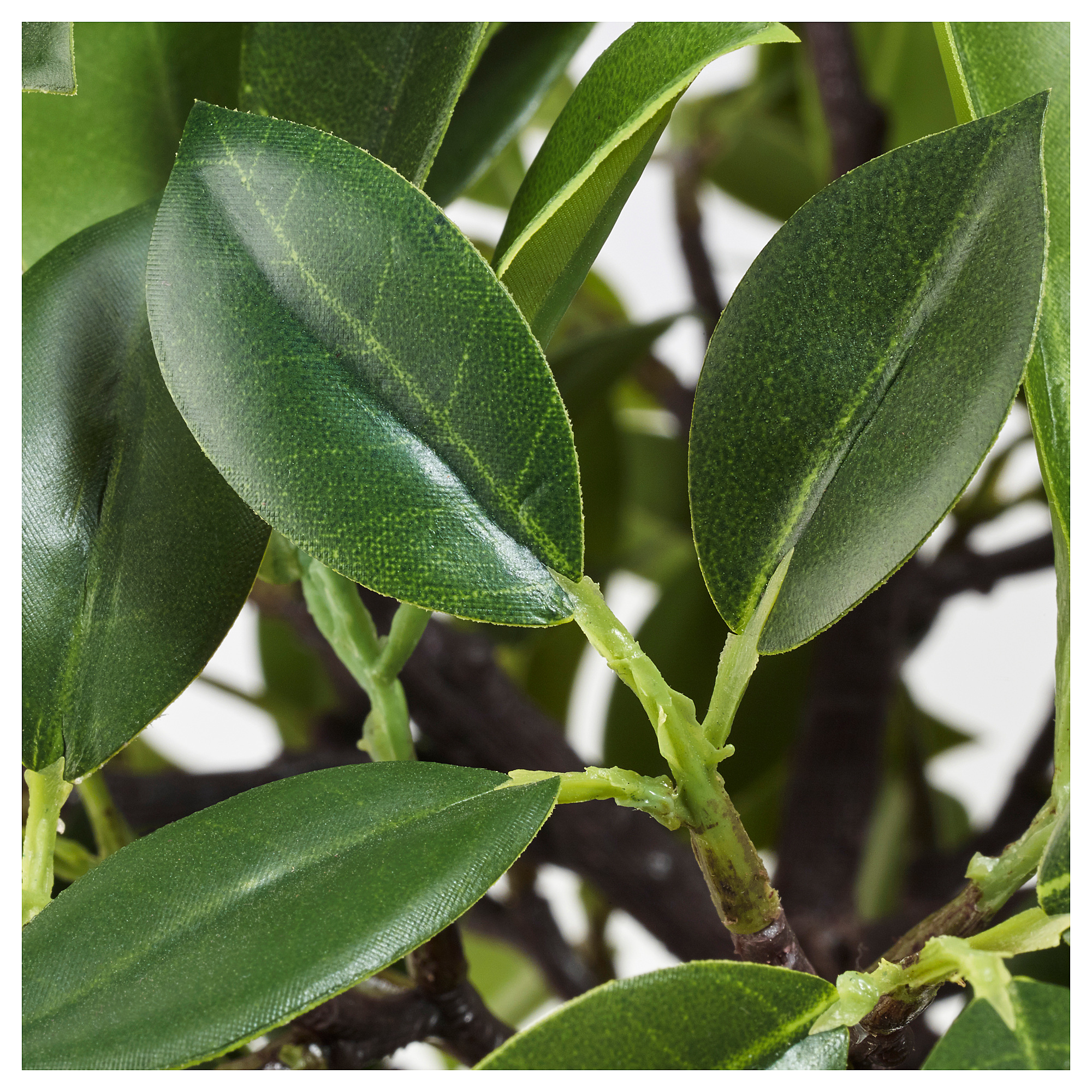 FEJKA artificial potted plant, in/outdoor/Weeping fig stem IKEA