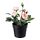FEJKA - 人造盆栽, 室內/戶外用/玫瑰 粉紅色 | IKEA 香港及澳門 - PE686803_S1