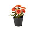 FEJKA artificial potted plant