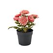 FEJKA artificial potted plant