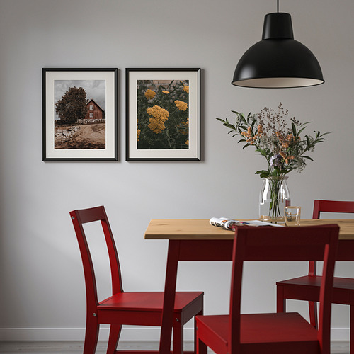 KNOPPÄNG frame with poster