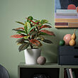 FEJKA artificial potted plant