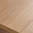 TROTTEN desk