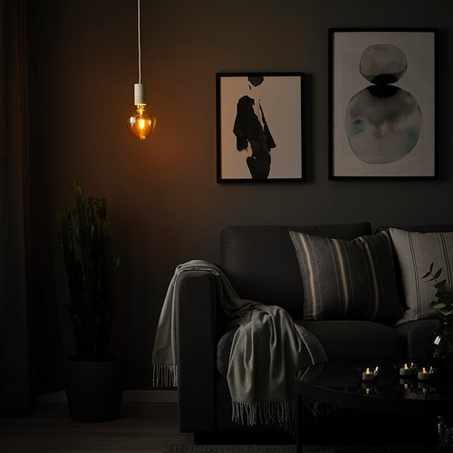 MOLNART/SUNNEBY pendant lamp with light bulb