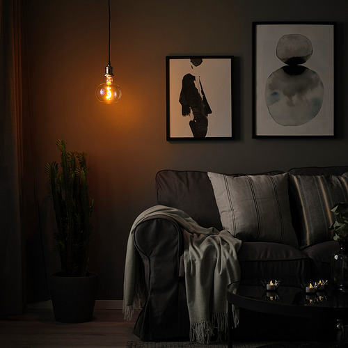 MOLNART/JÄLLBY pendant lamp with light bulb