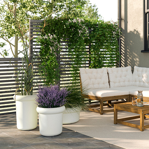 MÅBÄRSBUSKE plant pot