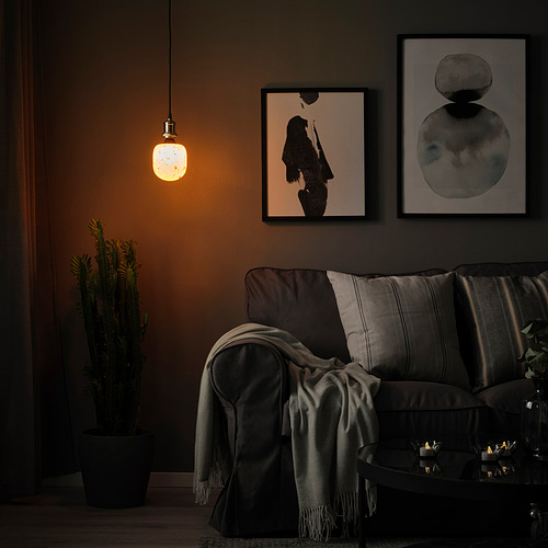 MOLNART/JÄLLBY pendant lamp with light bulb