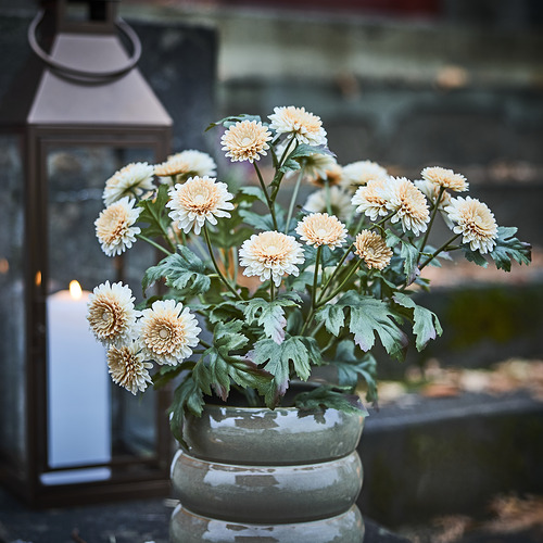 FEJKA artificial potted plant