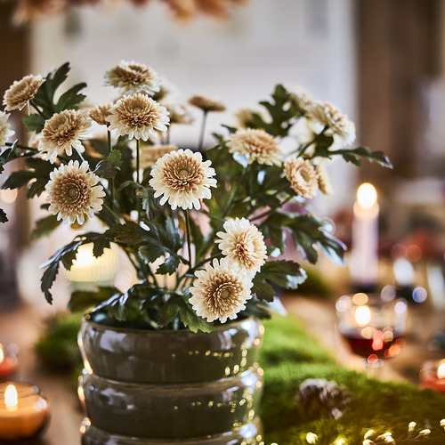 FEJKA artificial potted plant
