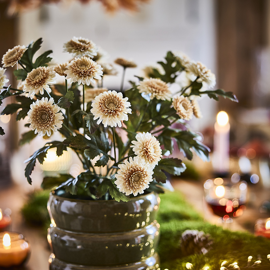 FEJKA artificial potted plant