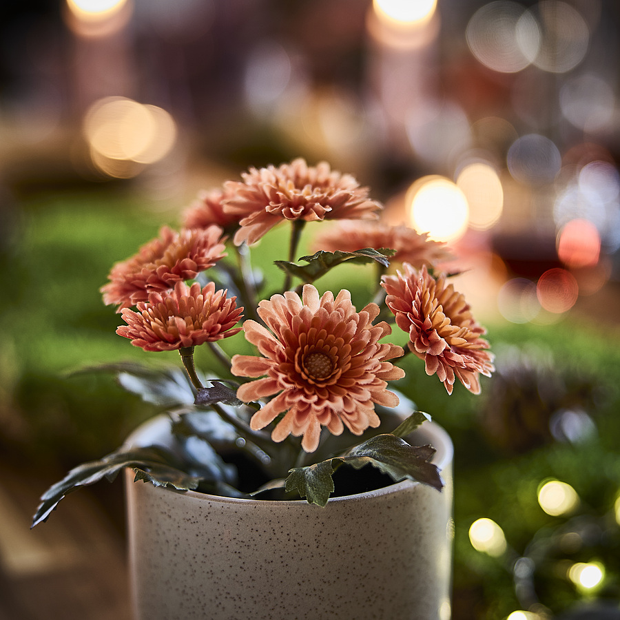 FEJKA artificial potted plant