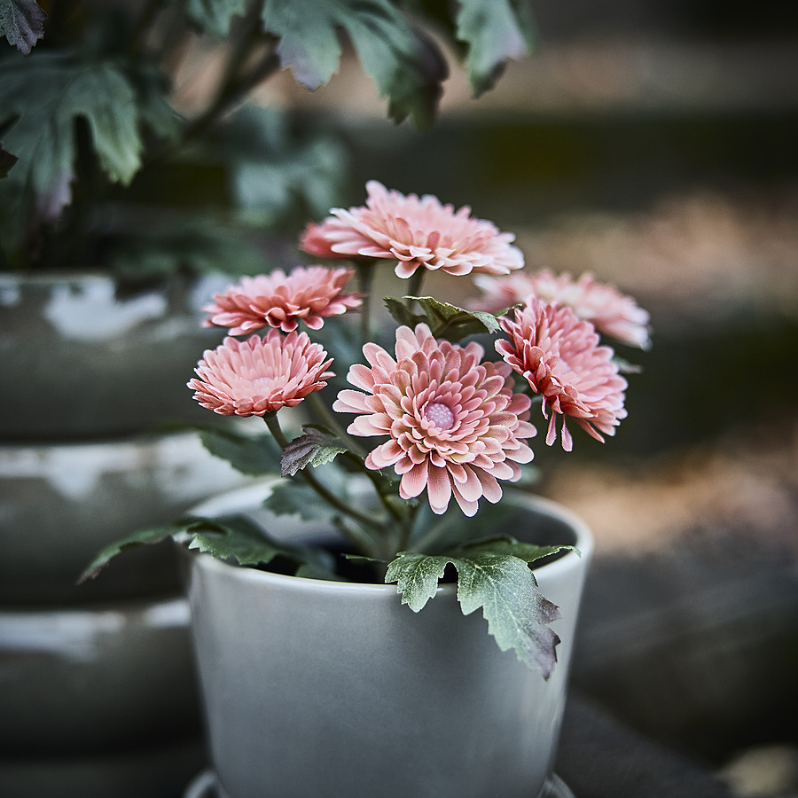 FEJKA artificial potted plant