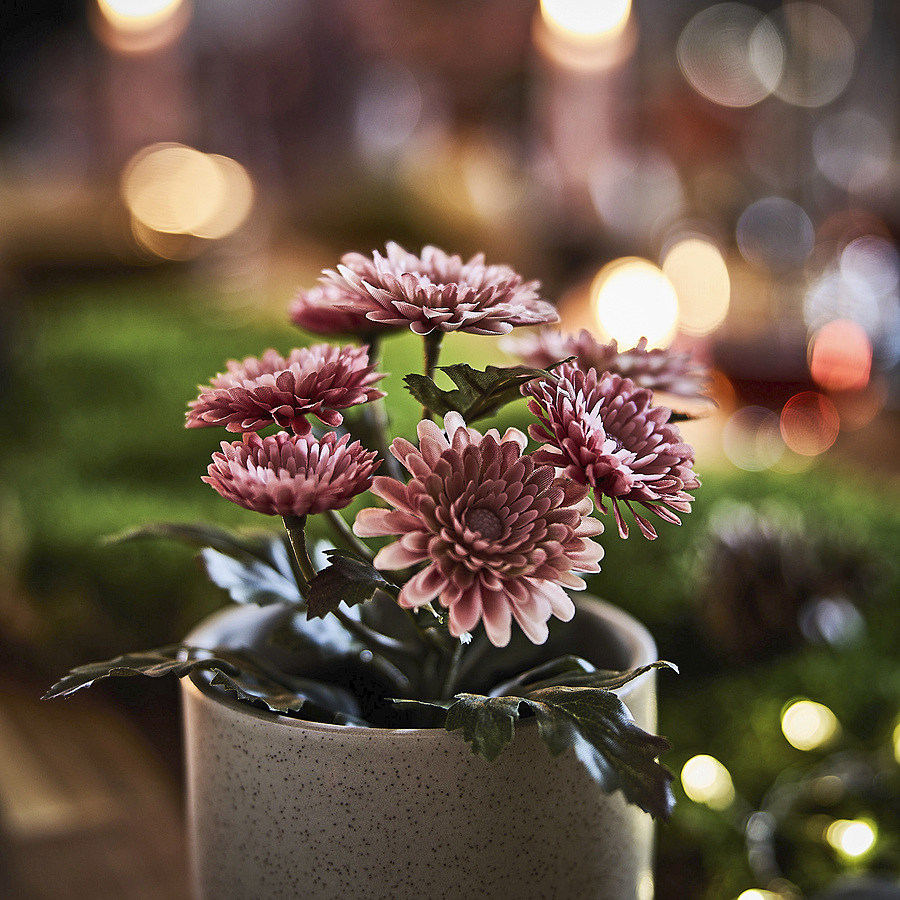 FEJKA artificial potted plant