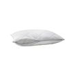 KLEINIA pillow protector