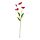 SMYCKA - artificial flower, in/outdoor/Poppy pink-red | IKEA Hong Kong and Macau - PE836379_S1