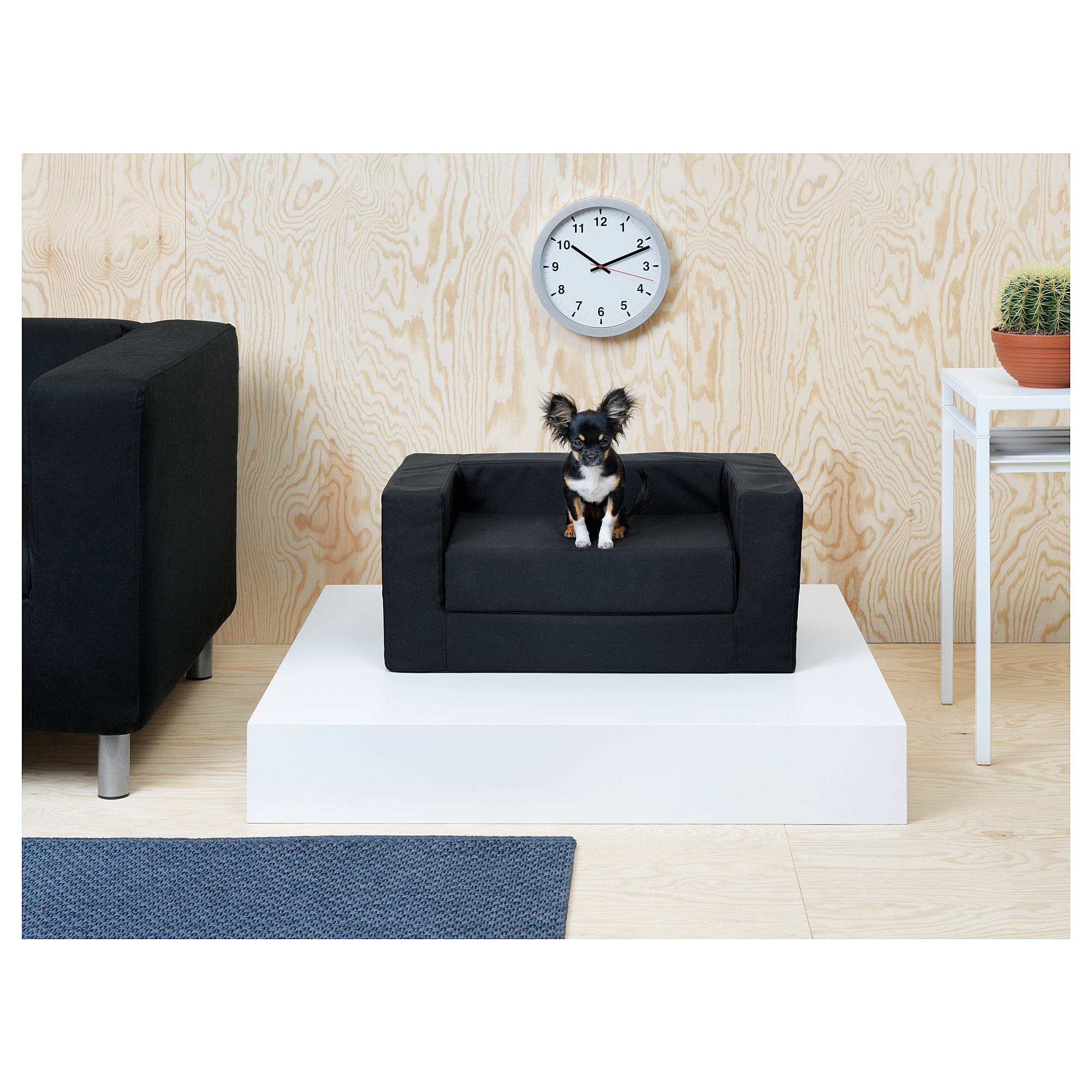 cat dog bed