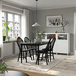 DANDERYD/SKOGSTA table and 4 chairs