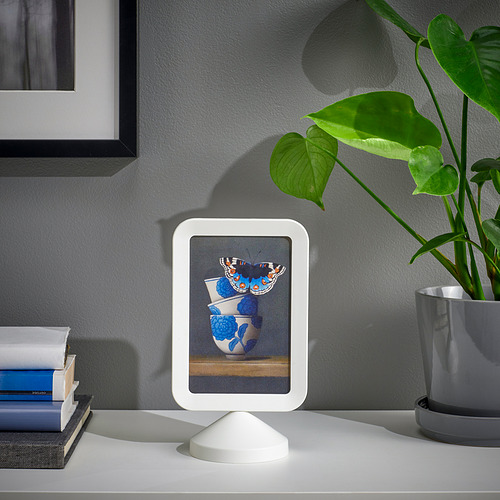 FIKONTRÄD frame