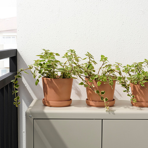 BRUNBÄR plant pot with saucer