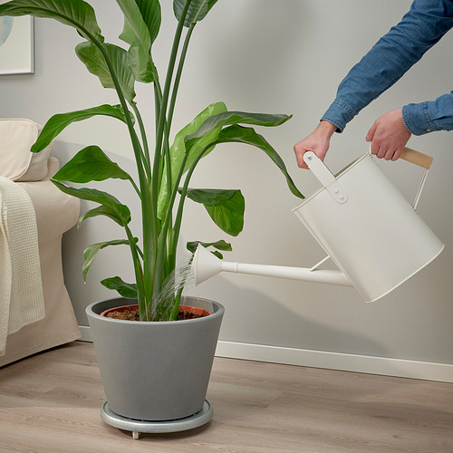 SALLADSKÅL watering can