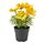 FEJKA - 人造盆栽, 室內/戶外用/大波斯菊 黃色 | IKEA 香港及澳門 - PE840185_S1