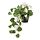 FEJKA - artificial potted plant, in/outdoor Geranium/hanging white | IKEA Hong Kong and Macau - PE840191_S1