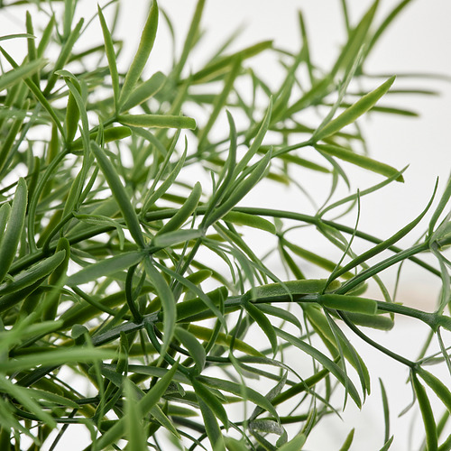 FEJKA artificial potted plant
