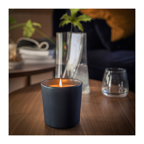 FRUKTSKOG scented candle in ceramic jar